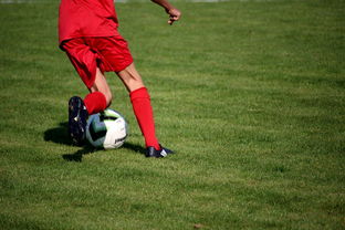 kaiyun登录入口-篮球运动员心理健康维护体系建设,篮球运动员心理素质的重要性